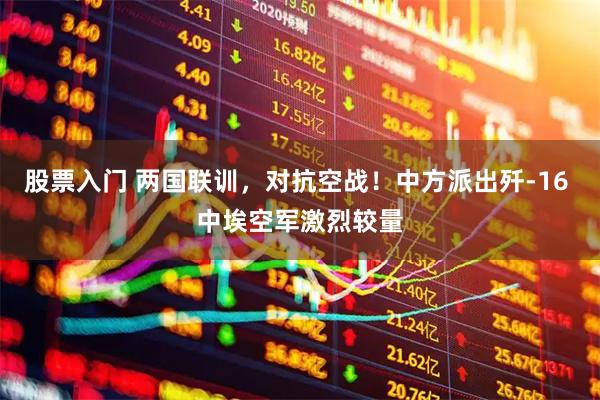 股票入门 两国联训，对抗空战！中方派出歼-16 中埃空军激烈较量